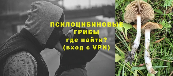 гашиш Алзамай